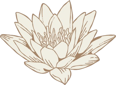 kwiat lotosu